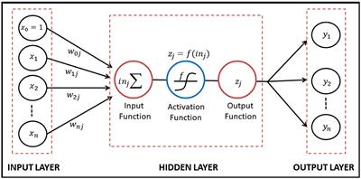 The soft computing FFNN method for adjusting heteroscedasticity on the time series model of currency exchange rate